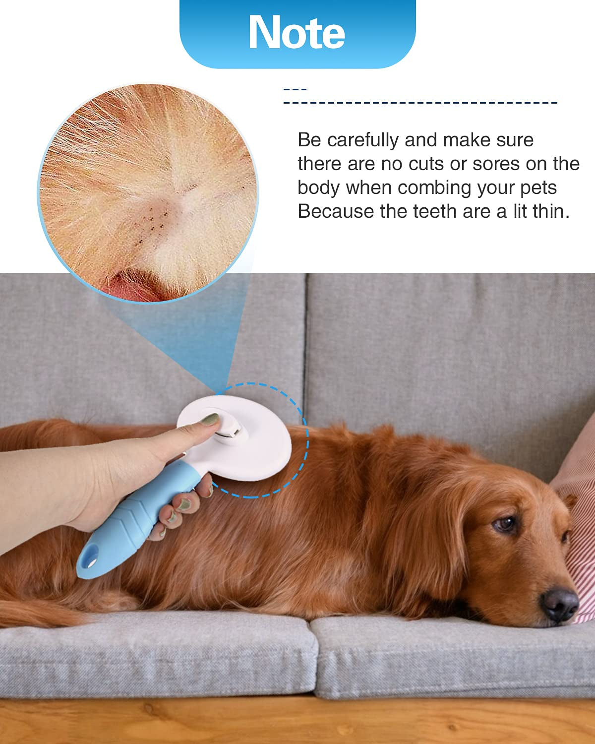 Self-Cleaning Slicker Brush for Effective Shedding and Grooming, Ideal for Removing Loose Undercoat and Mats in Short and Long-Haired Pets (Blue)